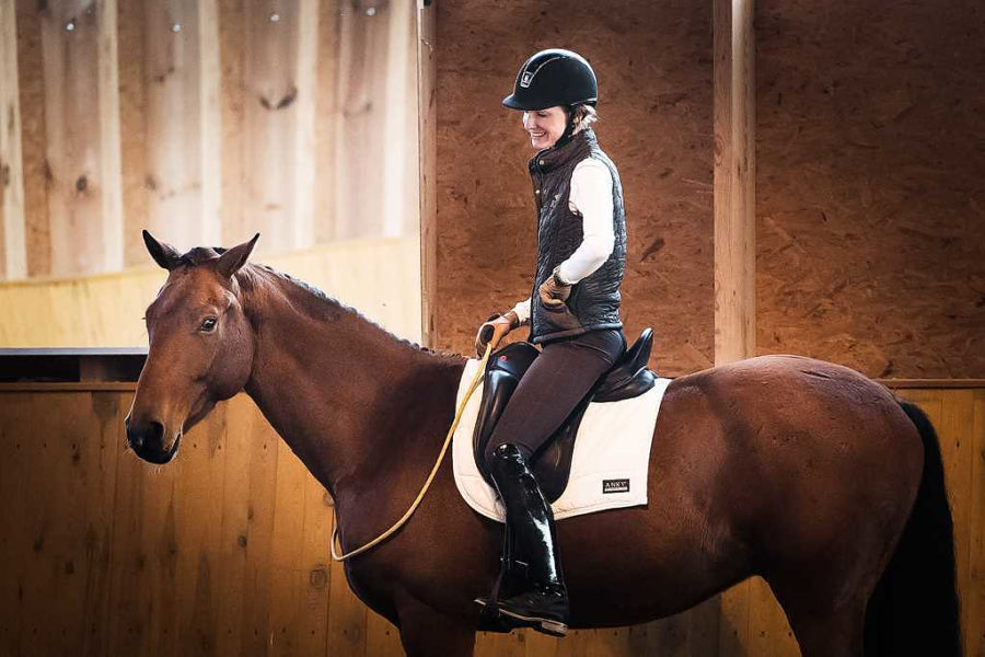 WHY DO WE WANT TO CONTROL OUR HORSES
