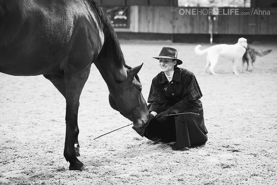HORSES and THE HERE AND NOW
