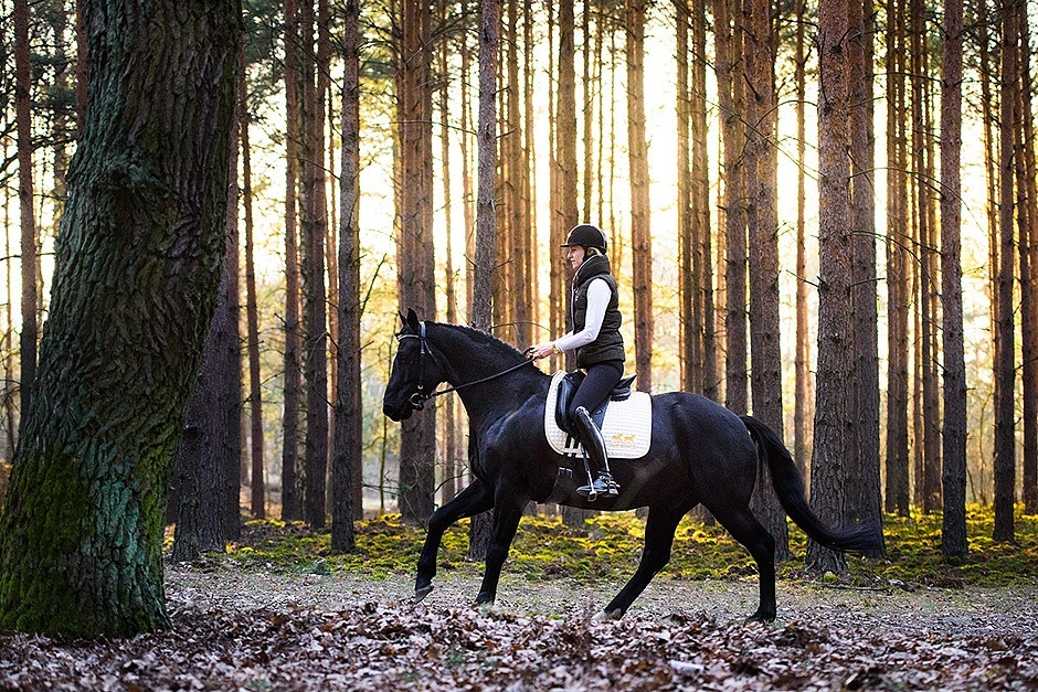 Changes of the Frames in Canter