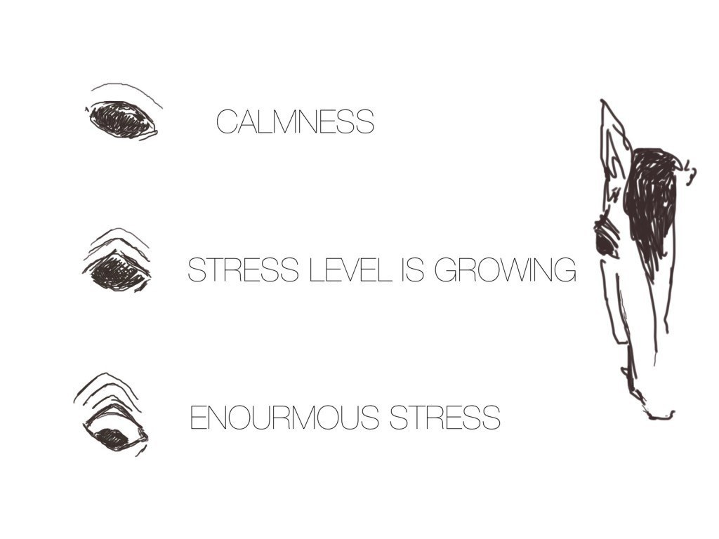 calmness-eyes
