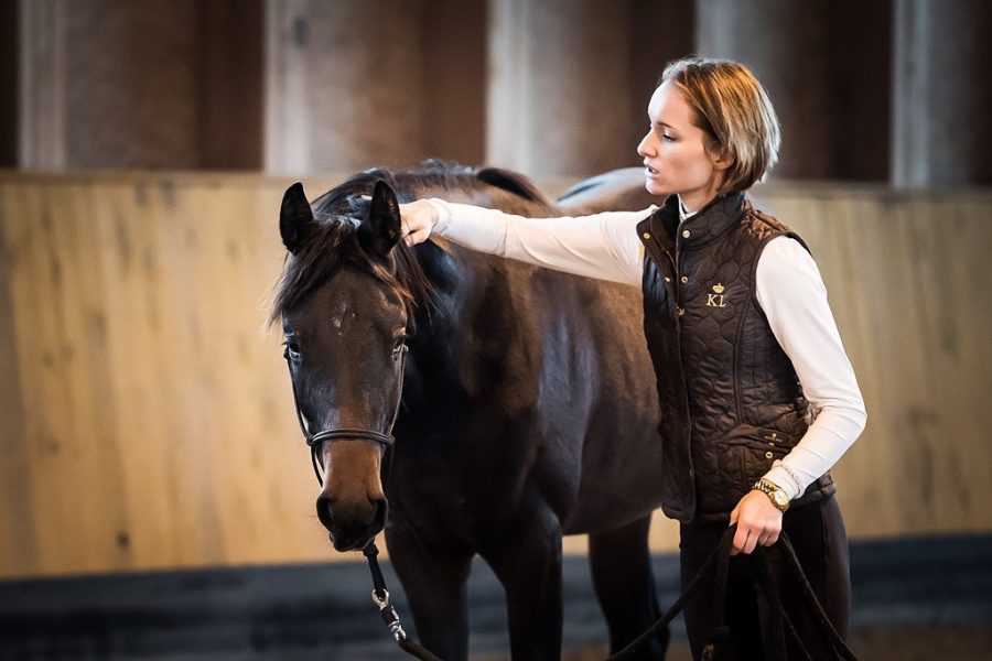 DON’T GIVE UP ON YOUR DREAMS WITH YOUR HORSES