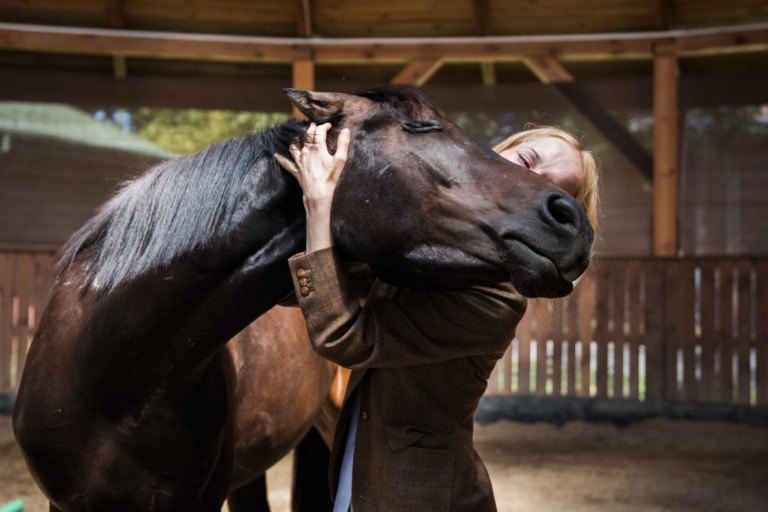 MINIHUGECOURSE Get Your Horse SUPER RELAXED with OPP Relaxation
