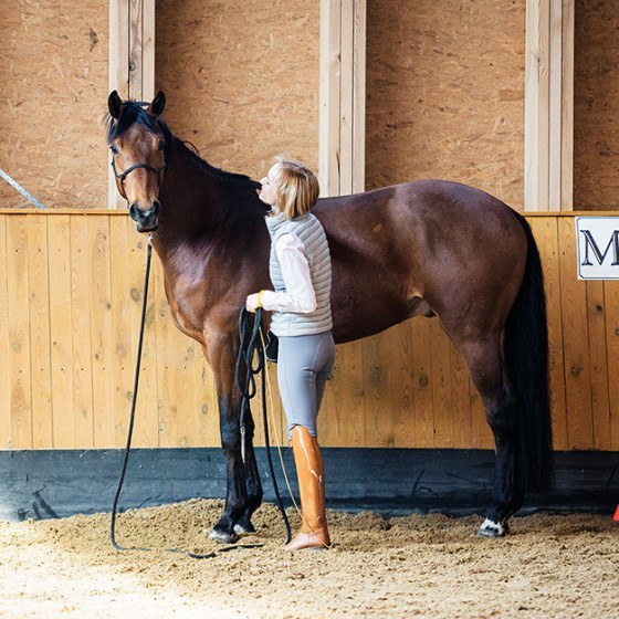 Horses' Calming Signals in Practice OneHorseLife