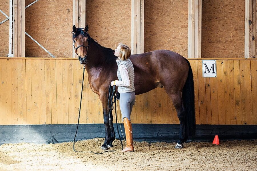 Emotions in Horse Training