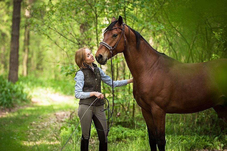 Horses’ Calming Signals in Practice