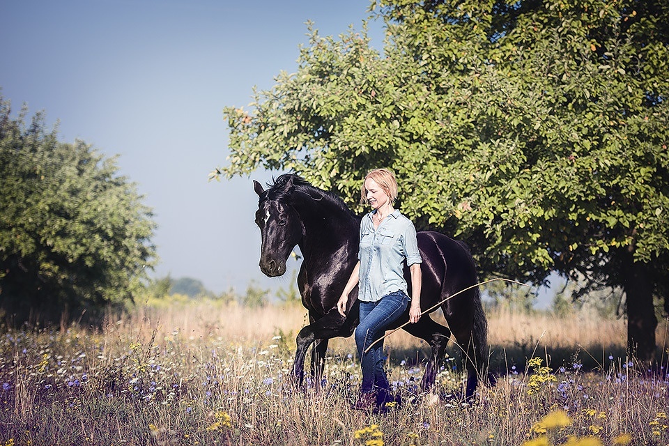 Welcome to OneHorseLife’s Live Workshops: START BY READING THIS