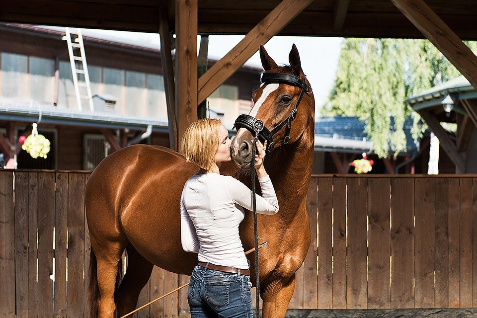 Emotions in Horse Training in Practice