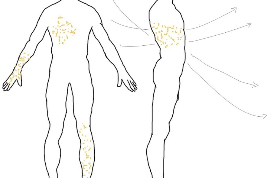 BODY MARC: Expanding Body Awareness