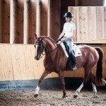 RHYTHM and STRAIGHTNESS come when both sides of the horse’s body are EQUALLY RELAXED