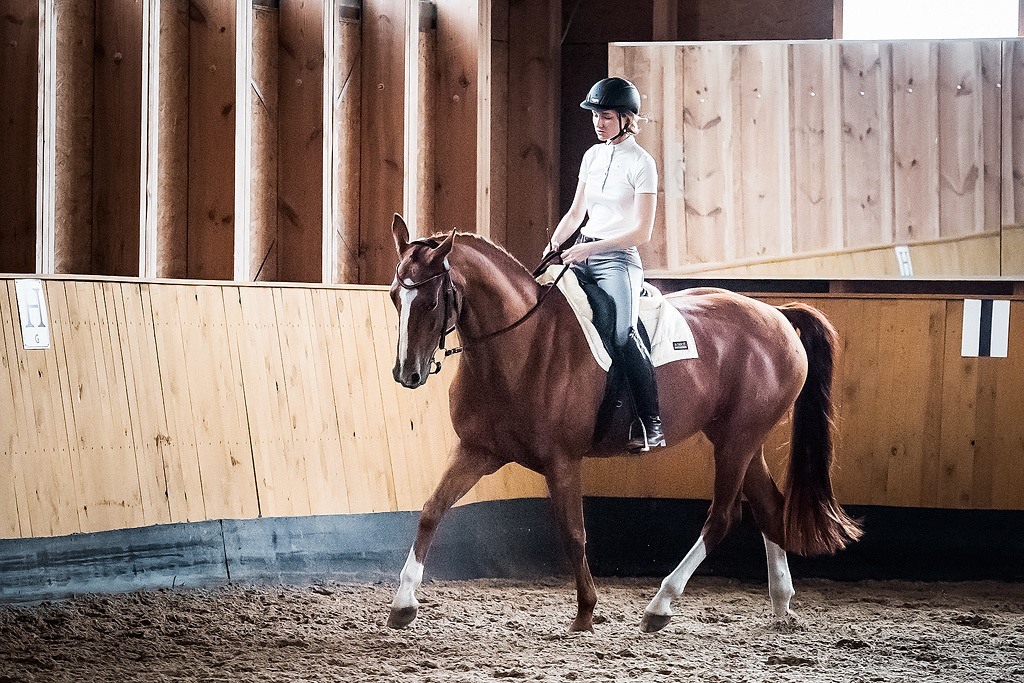 RHYTHM and STRAIGHTNESS come when both sides of the horse’s body are EQUALLY RELAXED