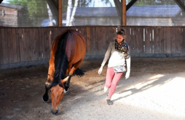 Intentions and Planning in Horsemanship