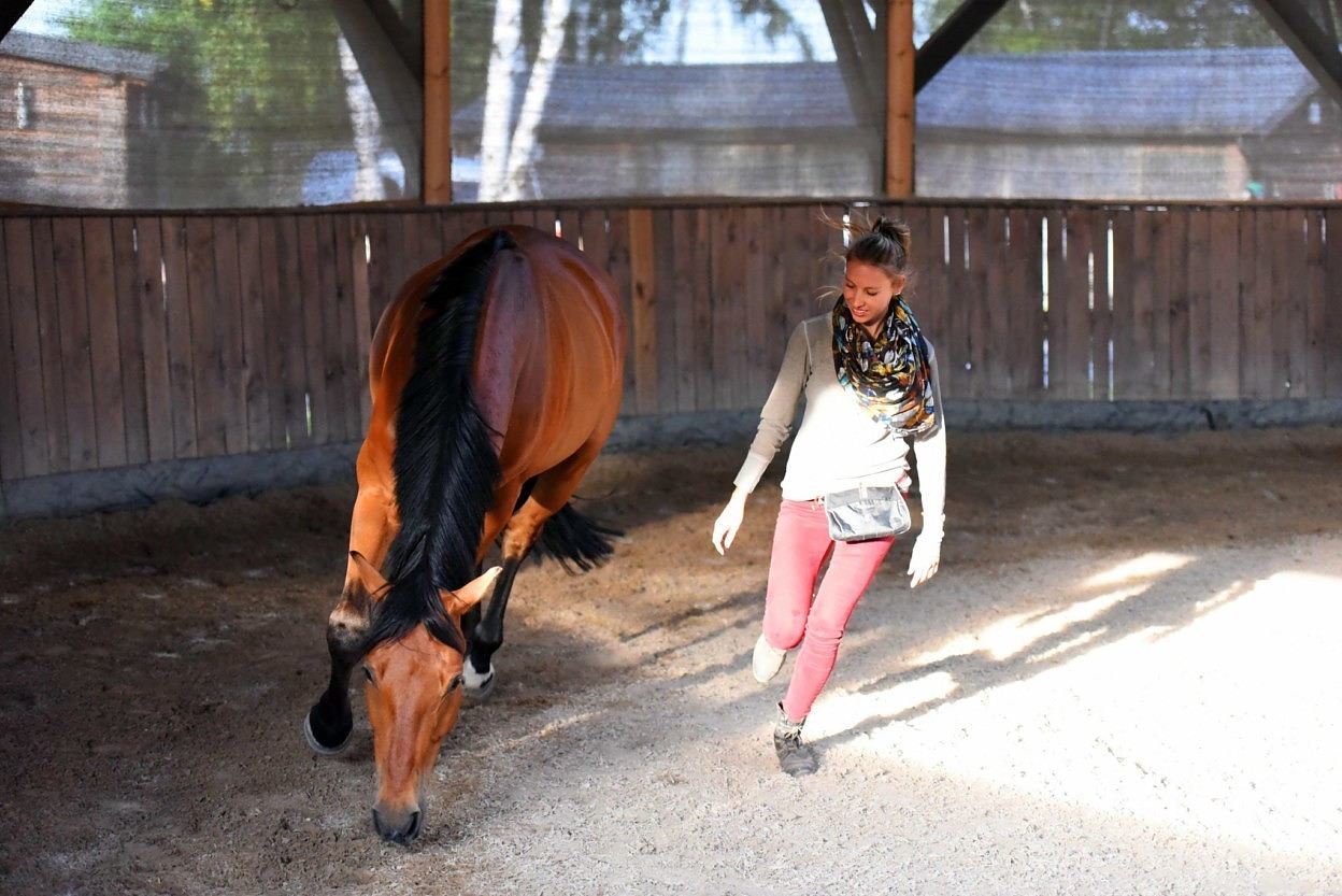 Intentions and Planning in Horsemanship
