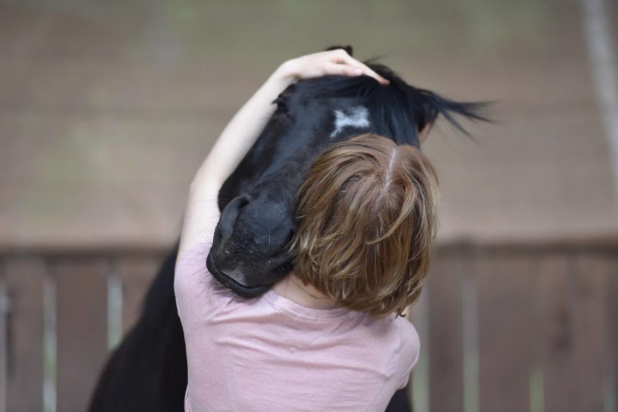Ocean of Duality in Horsemanship