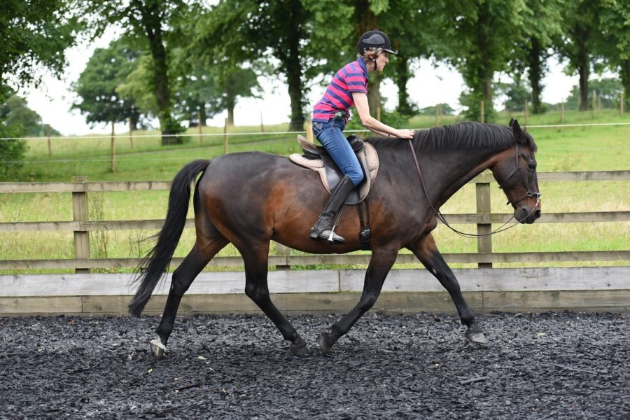 Monkey Back: Releasing Tensions to experience the Energy from the saddle