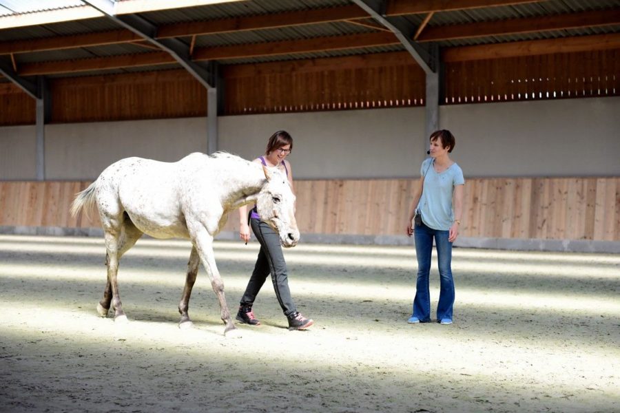 Fixing and Loving: Sara and Star … DAY 2