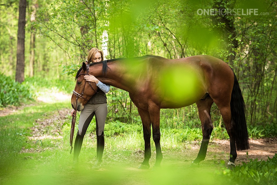 Beyond Positive Reinforcement: a deeper understanding of OneHorseLife’s Don’t Do It Cue