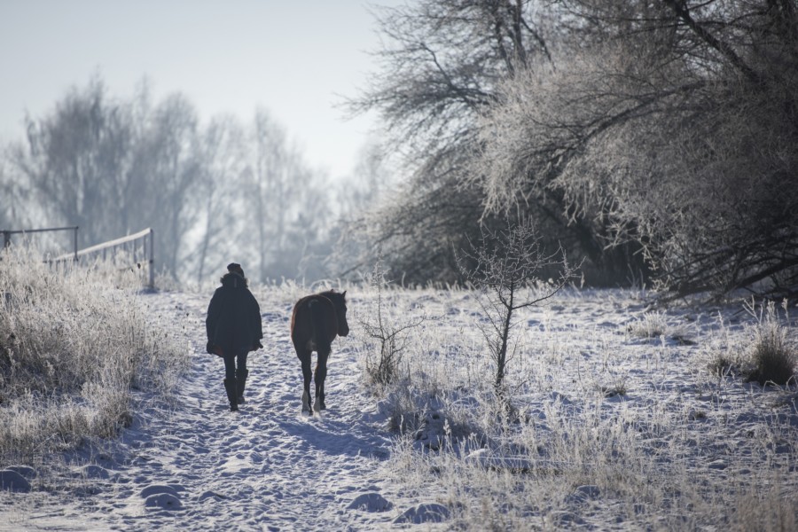 The New Year Message from OneHorseLife: SPIRITUAL IS THE SAME AS PRACTICAL