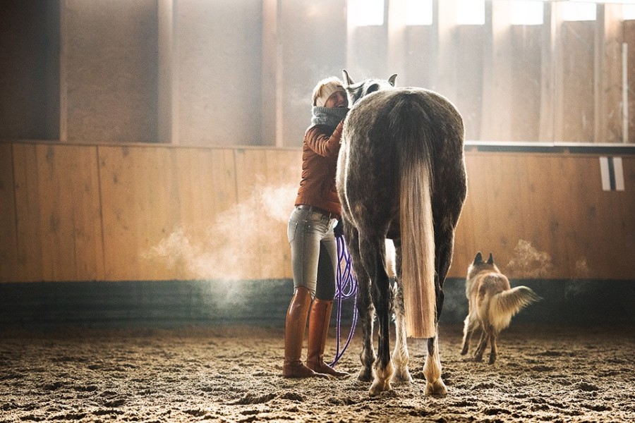 Joining Aggressive Communication with Horses, practice!