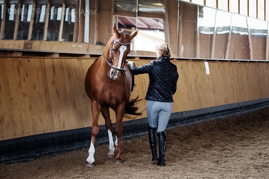 Relaxation of the horse’s jaw starts from relaxation of the rider’s body!