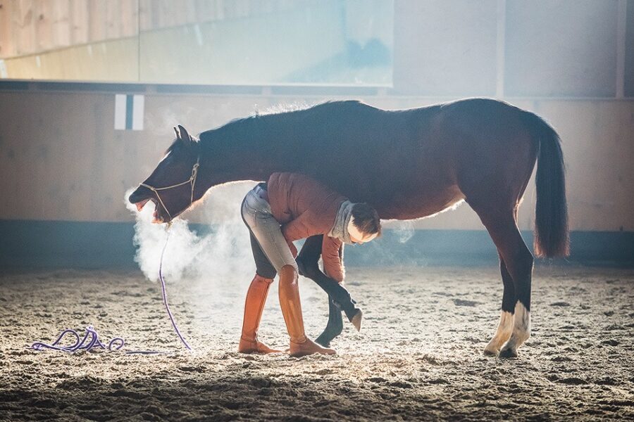 When your horse moves…