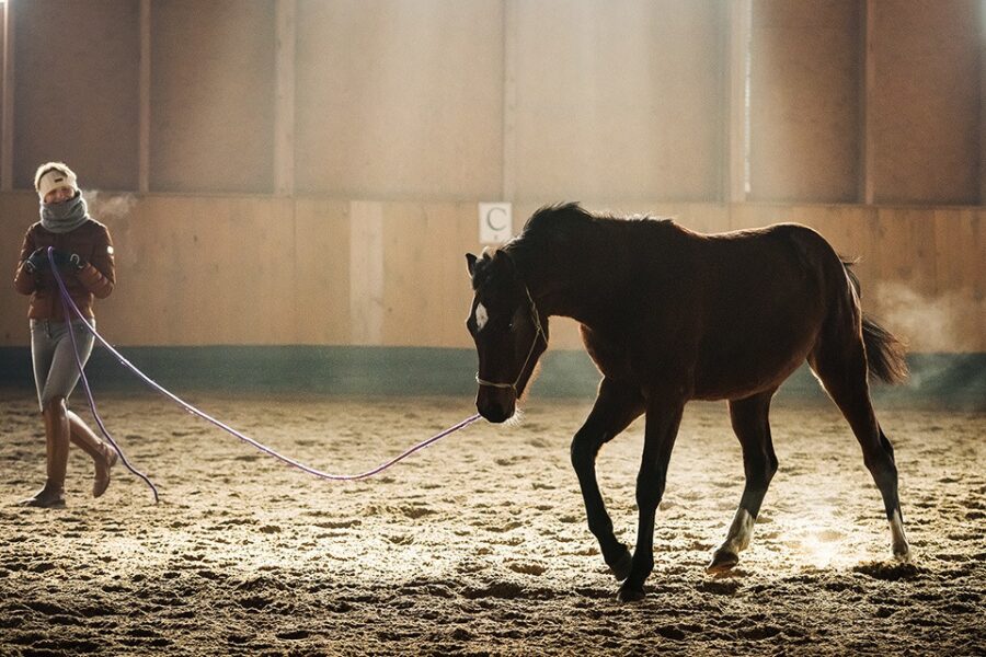 When people train other people with horses they teach them to be ACTORS, and not themselves