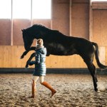 Expanding Body Awareness for Horses…