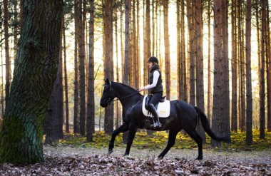Riding Outdoors with your horse