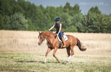 Woodland Dressage: Awakening the Equestrian Feel: ALIVE Body, ALIVE Hands