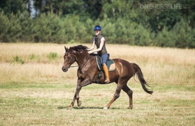 Woodland Dressage: Awakening the Equestrian Feel: LIGHTNESS and FEELING