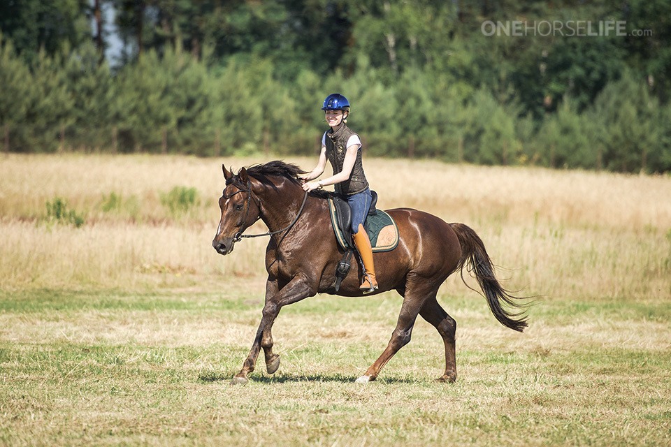 Woodland Dressage: Awakening the Equestrian Feel: LIGHTNESS and FEELING