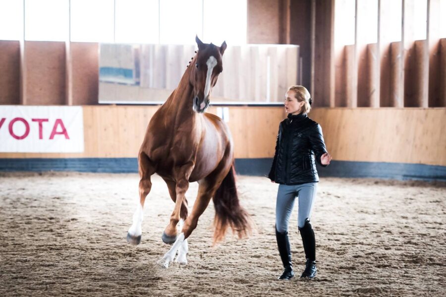 CHAPTER 3: How to Turn Using Anna’s Riding Method Technique