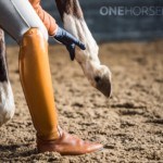 WHY DO PEOPLE SHOE THEIR HORSES?