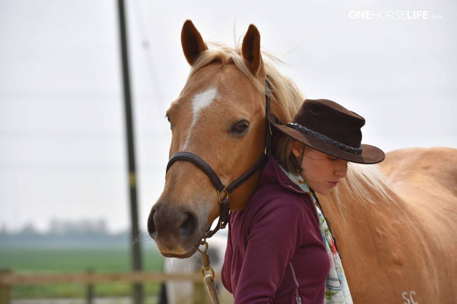 My time with CORAZON DE ORO