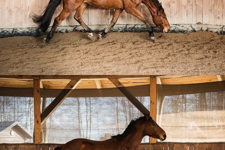 Good balance is INDEPENDENT of the position of the head&neck