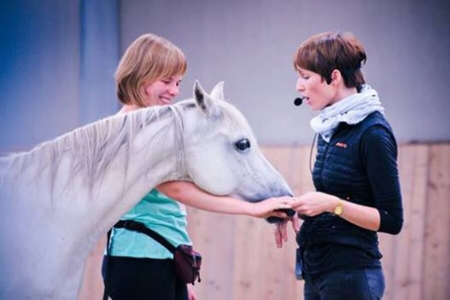 MODULE 6: Relaxation Signs vs. Calming Signals – PRACTICE WITH YOUR HORSE