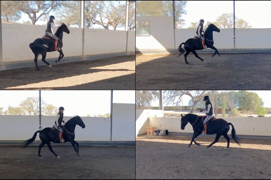 Sometimes, I just want to have an ordinary training…