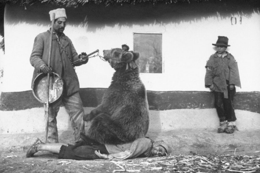 How to reduce pain with the bear sitting on your back. Or, can we find a better way?