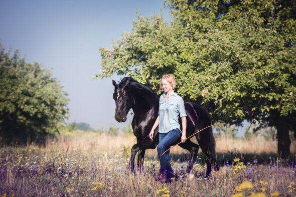 OneHorseLifeONE
