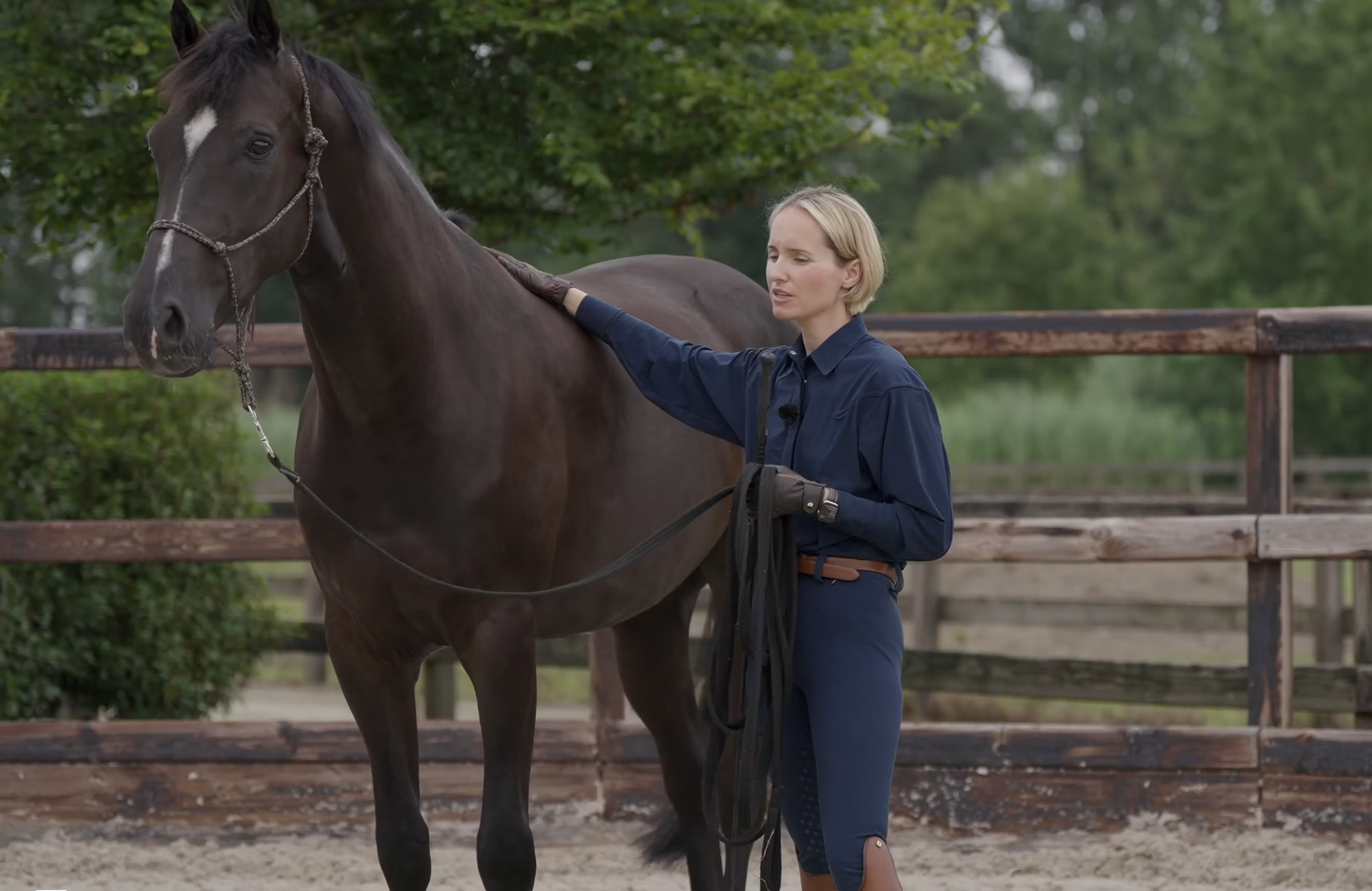 OneHorseLife Bitless Bridle