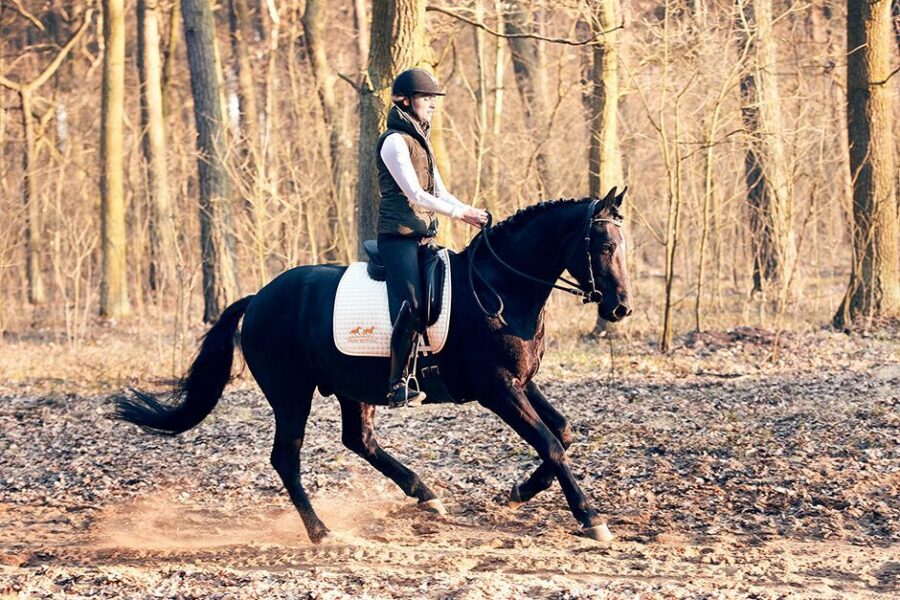 Module 8: Creating Straightness Through Body Alignment in Canter