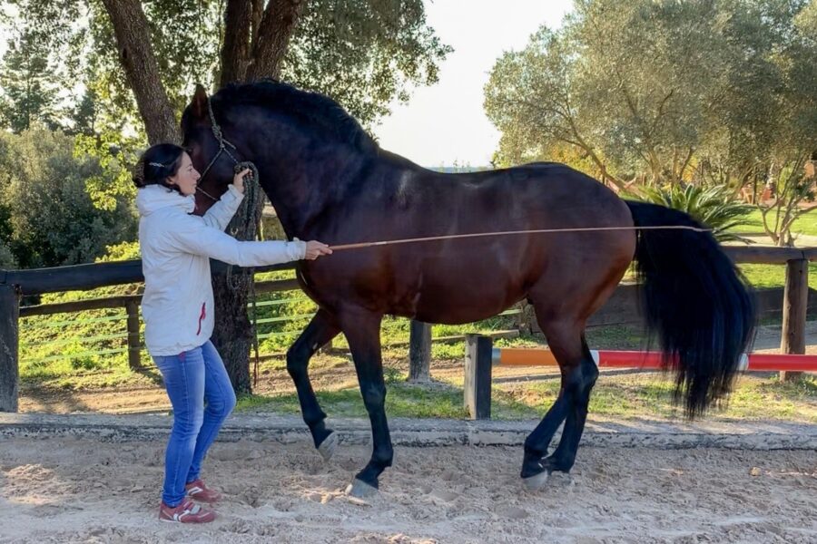10 GOLDEN RULES OF VISITING A TRAINER