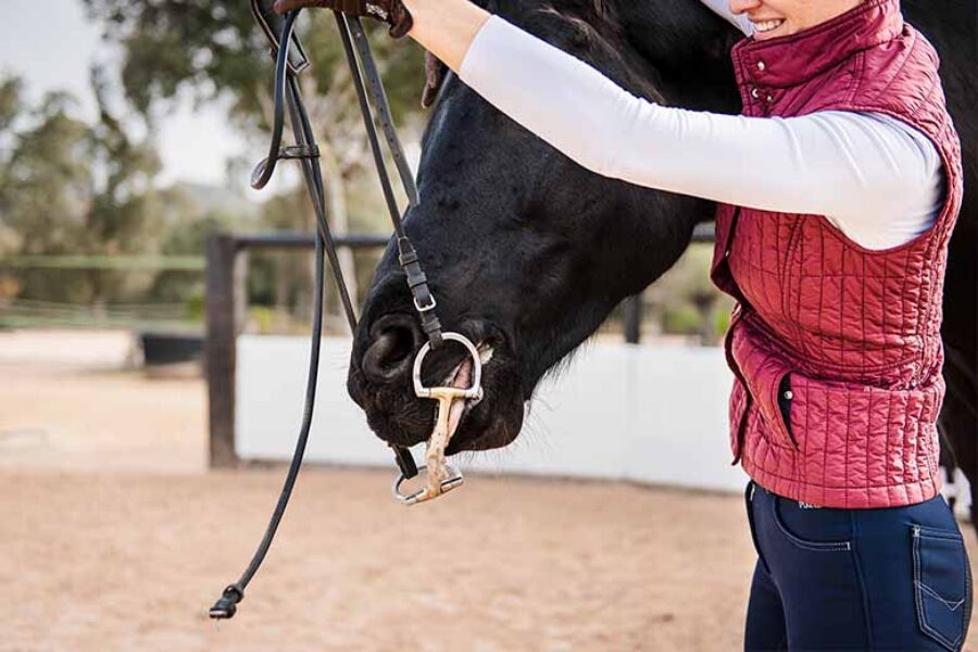 Introduction to the RTRT Technique