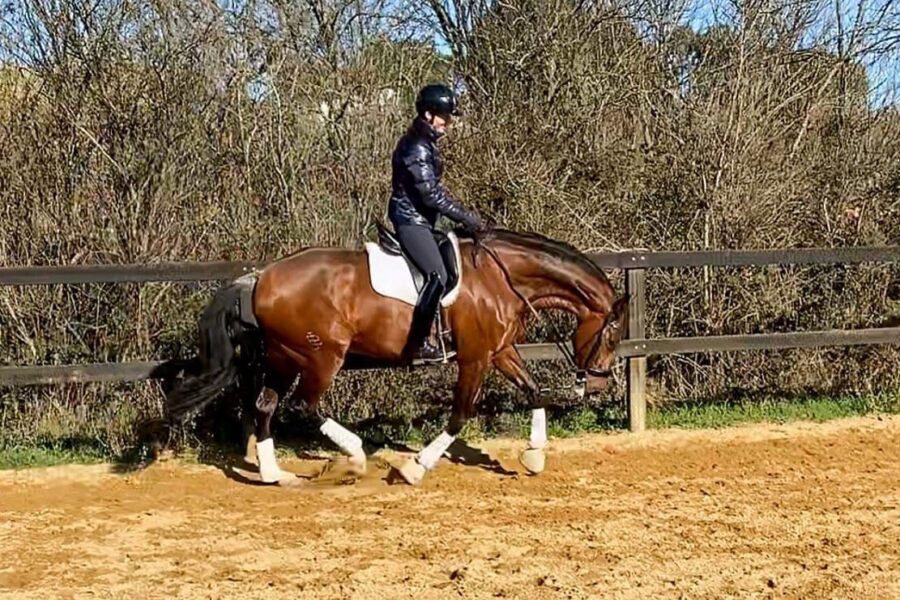 Next Level Riding: 10th Ride – Transitions