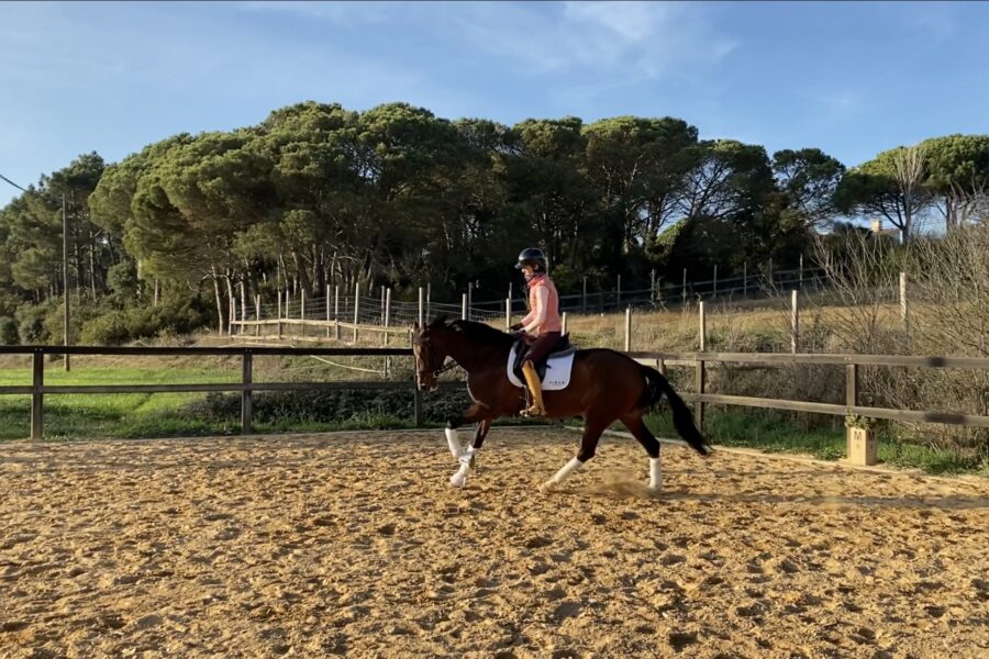 Next Level Riding Course: The First Encounter