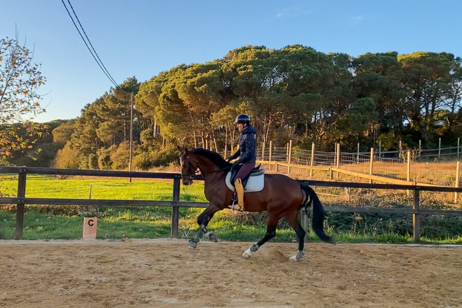 Next Level Riding Course: Second Ride