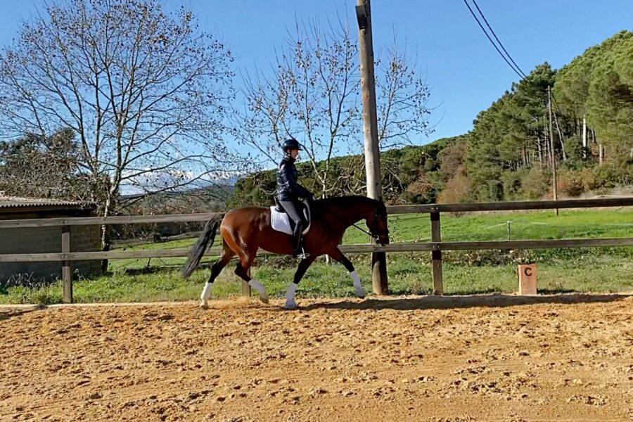 Next Level Riding: Third Webinar