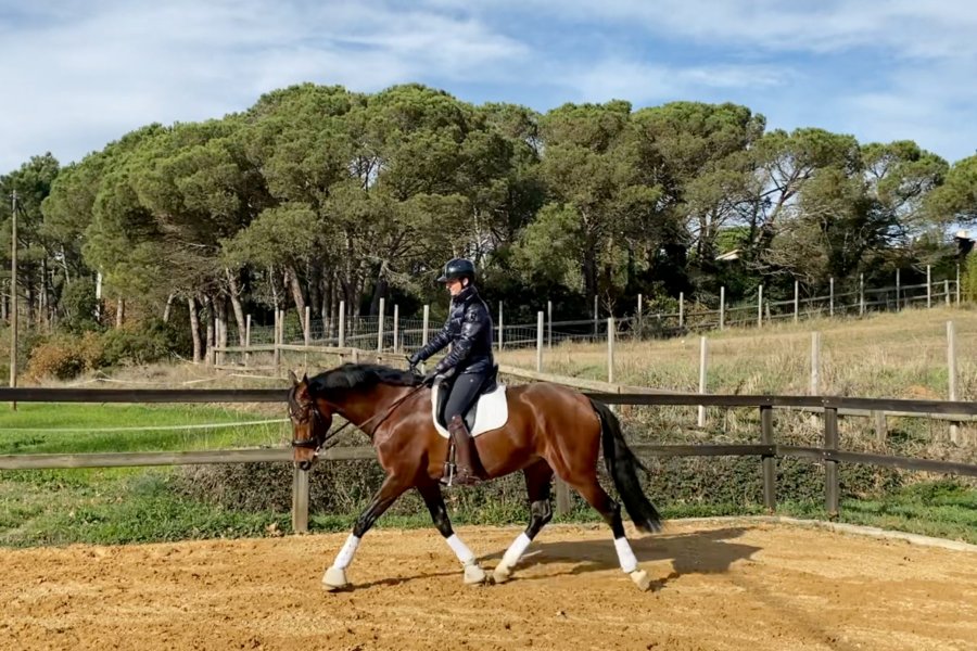 Next Level Riding: Second Webinar