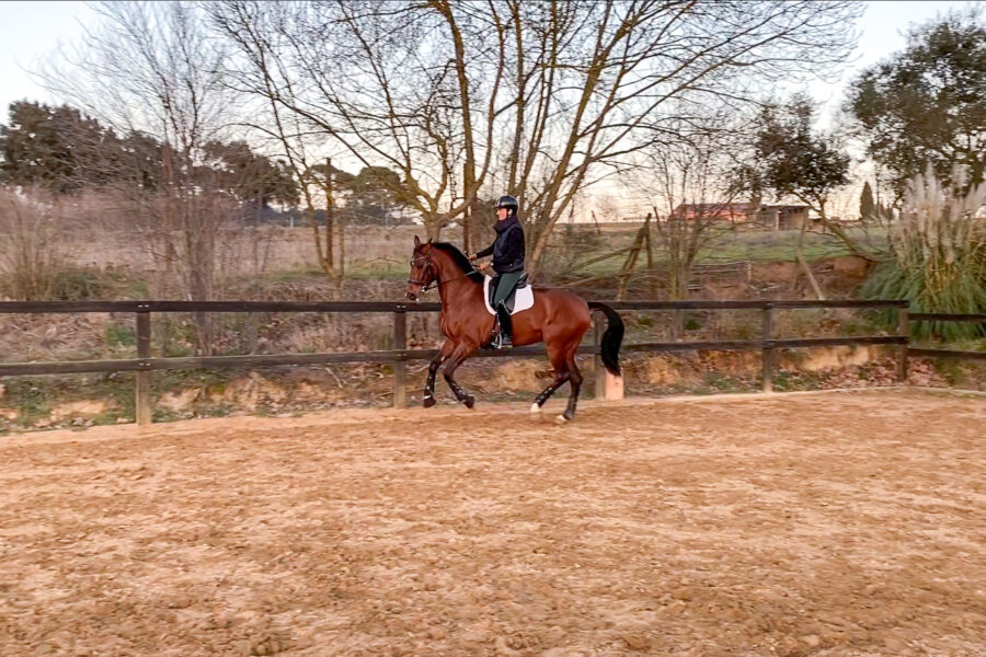 Next Level Riding: 14th Ride