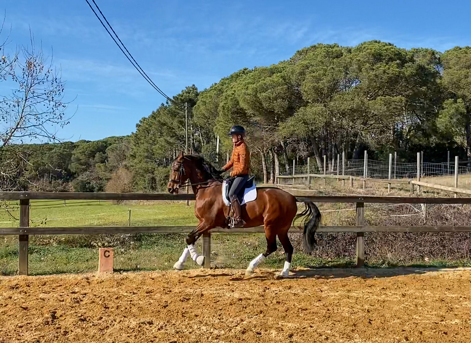 Next Level Riding Course: 16th Ride – Collecting the Canter