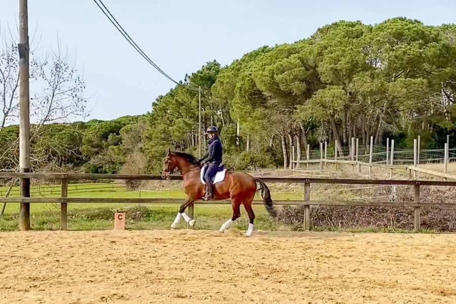 Next Level Riding Course: 19th Ride – Slowing Down the Canter